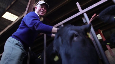 Video Beer And Massage The Secrets Of Welsh Wagyu Beef Belfasttelegraph Co Uk