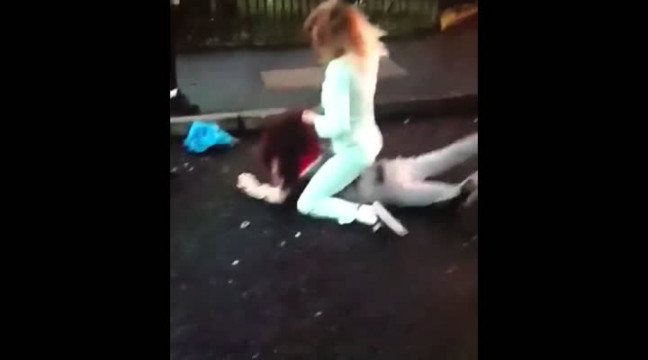 Brutal Girl Fight Videos
